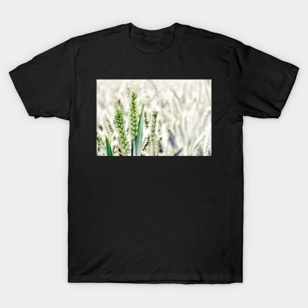 Wheat Fields T-Shirt by InspiraImage